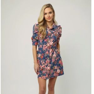 Dear John Indigo Adeline Dress. XS. NWT.